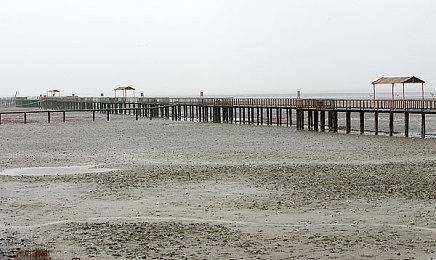 《极限竞速：地平线5》玩家数突破800万 表现很出色